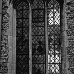 gh-02fenster_tn