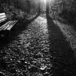 platz-4_re_gra_01_bank_im_herbst_tn