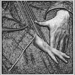 Bass - Gerhard Stoefer