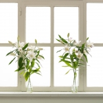 Antje Terhaag – Fenster