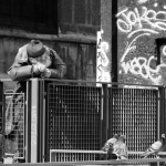 platz-2_re_gra_02_der_taubenfreund_tn