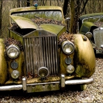platz-2_ms_01_rr_mg_2363_tn