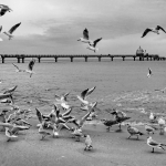 Ruediger Theiss-am Strand