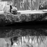 Peter Gilberg - Monolog am Wasser