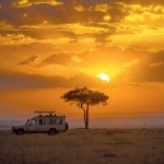 Frank Spiegel - Masai Mara at sunset