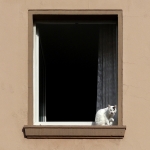 Gerhard Stöfer - Am Fenster