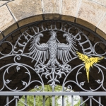 K.-H. Romann Die Vögel
