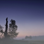 1-platz-s-ms-02_rheinaue_9437