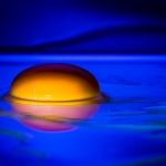 Heike Skamper - Blue Ei