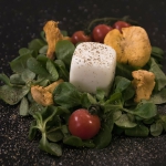 Kerstin Schütze - Salat