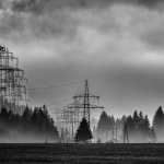 Barbara_Wuensche_Morgennebel