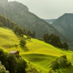 Frank Spiegel - Green