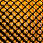 Martin Rütgers - LSD
