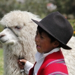 gh2_01hirte2_tn