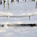 sg_01-winter_tn