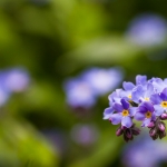 mrt_02_blau-weiss_tn
