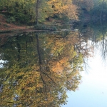 kd-2-herbstzauber-am-see_tn