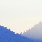o2-ds-02-lichtspiel-im-winter_tn