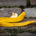 2013_12_b1-hs-1-das-ende-einer-banane_tn