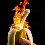 2013_12_platz-5_f1-mh-1-banane-studio-041-_h__3057-bearbeitet_tn