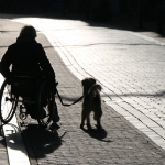 2014_07_platz-5_f1_axb1_handicapped