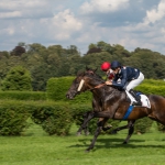 racing stars