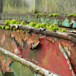 L1-MS_01_Rostlaube_MG_2402