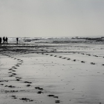 BW_01_Seegang