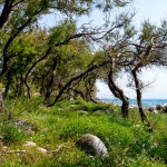26a-CM_1_Idylle am Meer (1 von 1).jpg