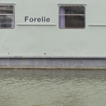 Hafen - Forelle