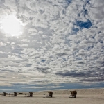 2-2-mh-02-jan-2009-_mg_4994-2