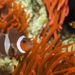 Zoo und Aquarium
