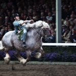 avc-2-galopp_mg_7674-als-smart-objekt-2