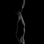 j-f-_03_siluette