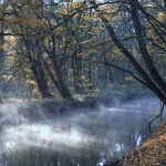 FrÃ¼hling, Wasser, Spiegelungen, FrÃ¼hblÃ¼her, HÃ¤user