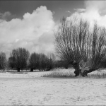 ms_04_naturschutzgebiet_mg_0823
