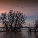 3-ms_01_hochwasser_mg_2345
