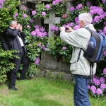 20130602-img_9226_friedh