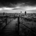Franjo Hartmann - Im Hochmoor