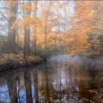 2015_05_(Platz 3)_10-MS_02_Herbst_an_der_Erft.jpg