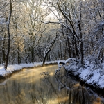 Marianne Schlüter_Winter an der Erft