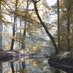 Marianne Schlüter _ Im Herbstwald