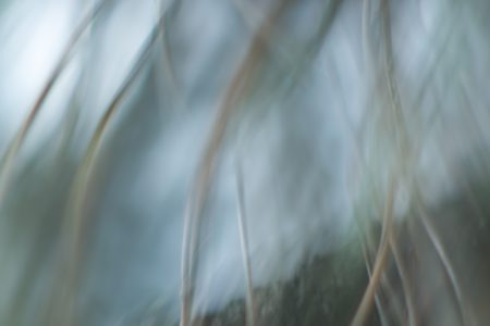 Im Wind - Andrea Hermann