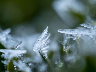 Ice-Phantasy - Ulrike Scharfenberger
