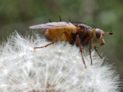 Foto: Rüdiger Theiß