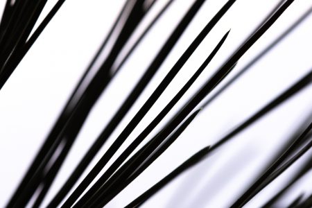 Mikado - Kathrin Stempel